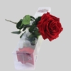 Rosa Preservada para regalar